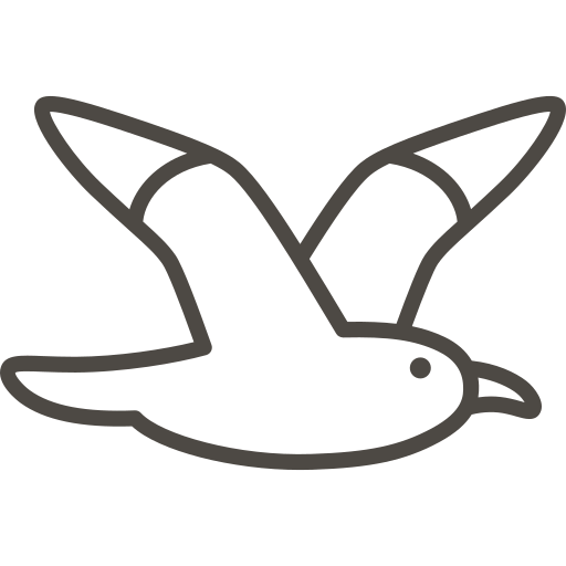 Icon Möwe